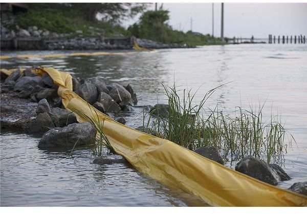 oil slick in coastlines