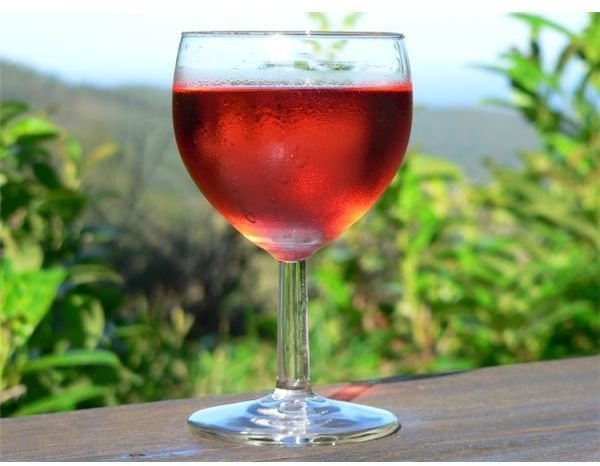 Elderberry Wine Benefits
