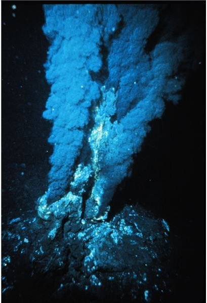 Learning About Hydrothermal Vents and Their Creation and Role in Supporting Ocean Life