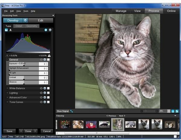 acdsee photo editor review