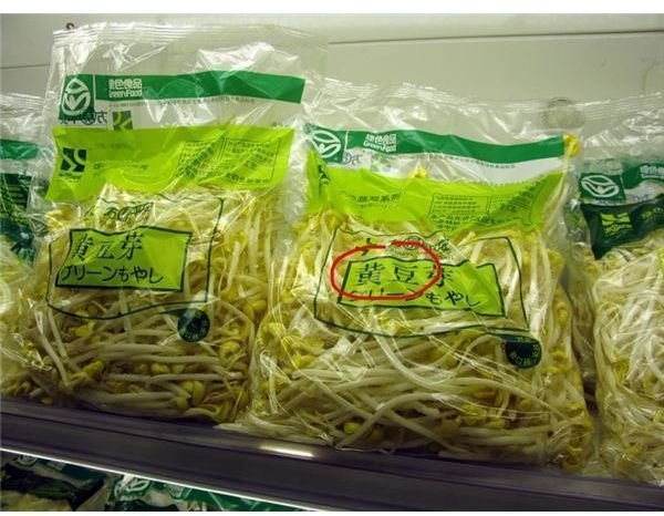 Soybean sprouts are a rich source of proteins