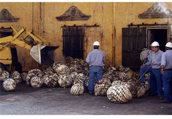 800px-Jose Cuervo ovens