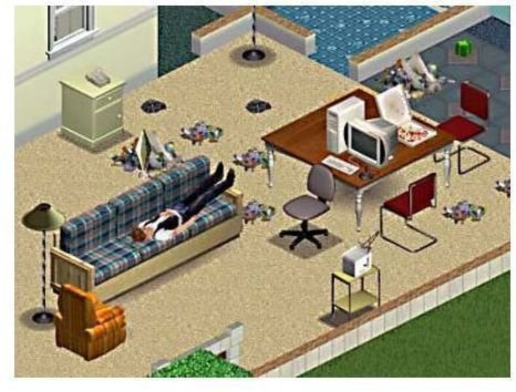 The Sims