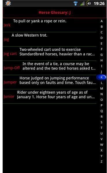 Horse Glossary