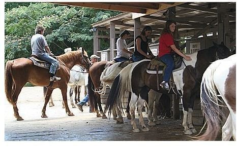 Benefits of Horseback Riding for Homeschooled Students: Educational Aspects & Where to Find Local Lessons