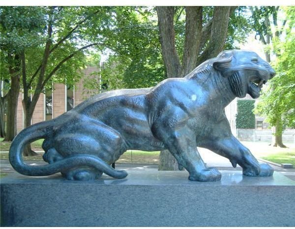 800px-Princeton University Cleo tiger
