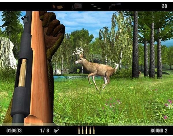 deer drive game wii