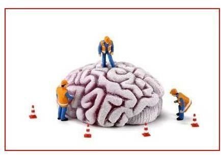ADHD Brain Under Construction