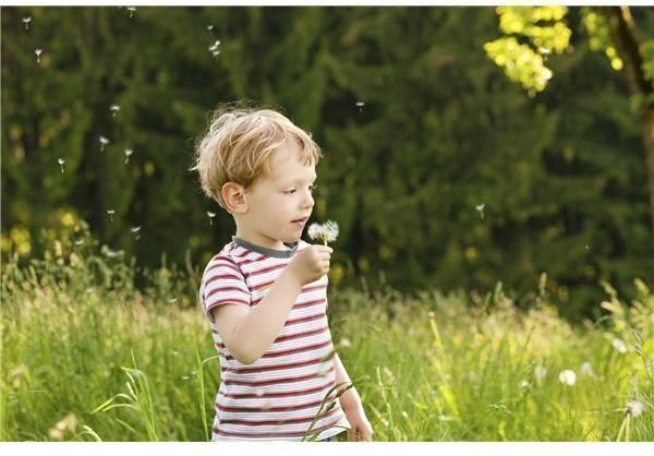 Square Foot Gardening: Elementary Unit Study Idea Combining Math & Science