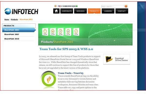 Infotech Canada master themes