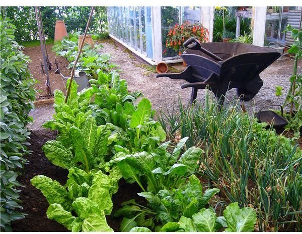 Planning a garden shows what your students have learned.