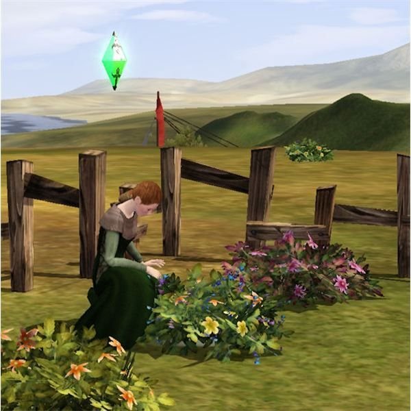 The Sims Medieval Physician Gathering Herbs
