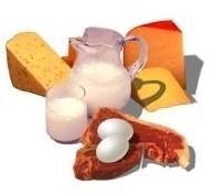 Find Foods that Contain High Cholesterol & Saturated Fats