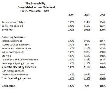 Example of Common Size Income Statement Horizontal