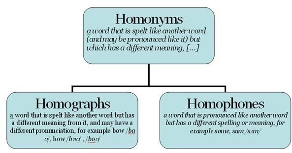 Common French Homonyms: Making Sense of it All