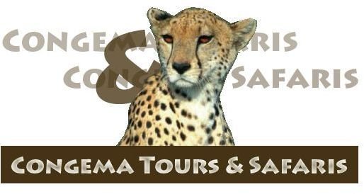 Congema safaris logo cheeetah banner