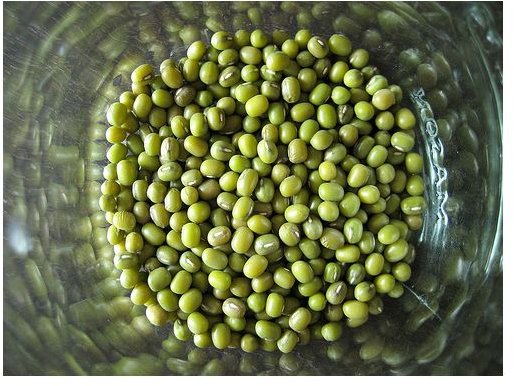 Mung Beans Health and Nutritional Value