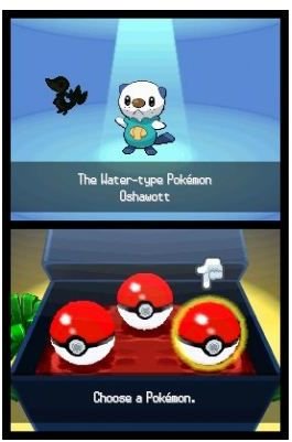 Oshawott on the select screen