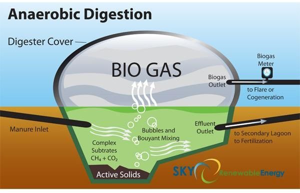 Biogas Bottling for Domestic Cooking and Other Uses