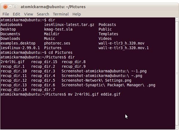 Renaming files and directories in Linux