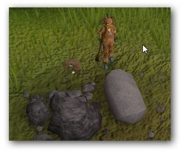 Wild Kebbit in Runescape