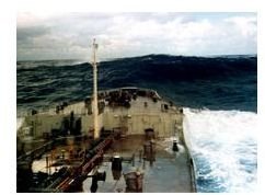 What Are Rogue Waves