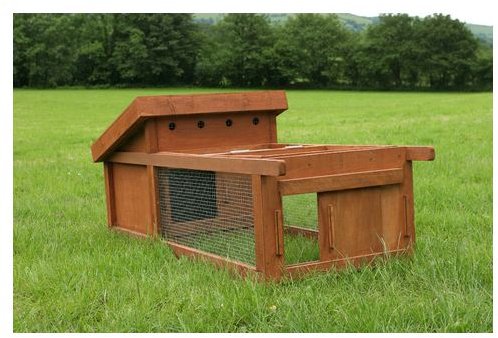 How to Make a Hen House with Recycled Building Materials