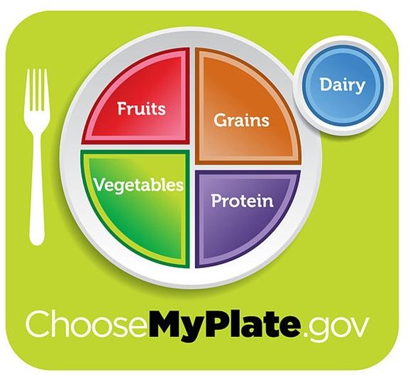 Healthy Eating Activities for Preschoolers: Grocery Center, MyPlate & More