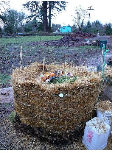 Build a Compost Pile: What to Do & What Not To Do