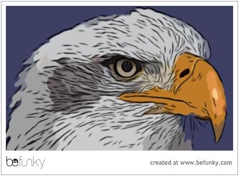 eagle cartoon