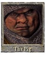 pig-portrait