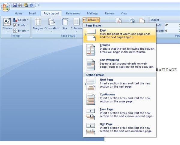 How to Print Portrait and Landscape Pages in the Same Word 2007 Document