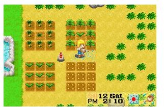Harvest Moon - More Friends of Mineral Town (2)