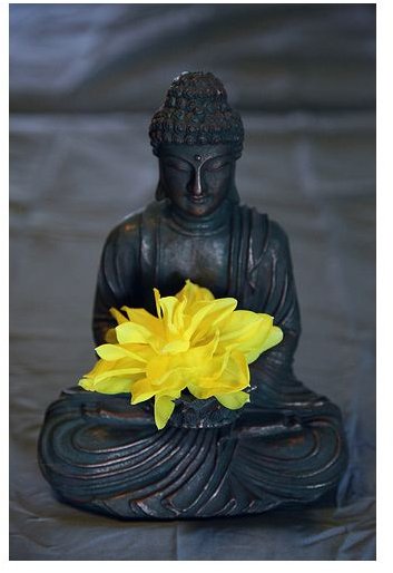 Vipassana Meditation Origins and Practice