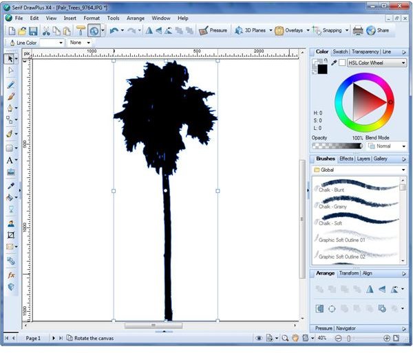 Silhouette of Tree After Trace