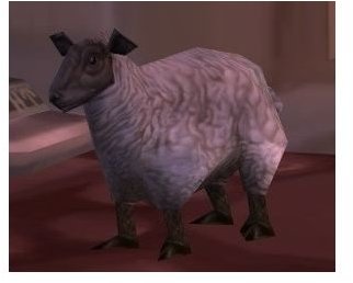 Elwynn%20Lamb%20non-combat%20pet%20from%20Stormwind.