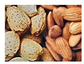 Learn the Many Health Benefits of Nuts and Seeds