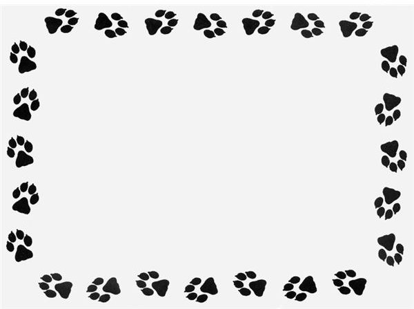 dogpawborder