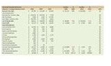 Downloadable Horizontal Balance Sheet