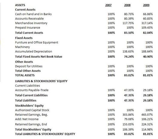 The Uses And Analysis Of Common Size Financial Statements In Decision Making 6039