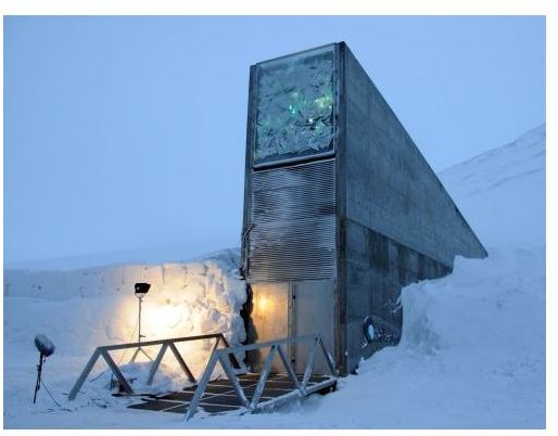 Svalbard Global Seed Vault (photographer: Mari Tefre)