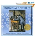 Teaching Preschool: Snowflake Lesson Plans for the Classroom With 2