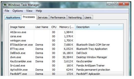 Memory Usage of Panda