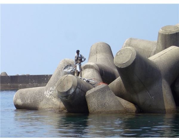 What are Tetrapods? (Tetrapods Resist Wave Impact and Prevent Beach Erosion)