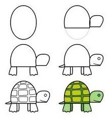 How to Draw a Turtle