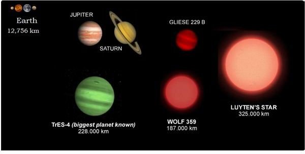 The Largest Star in the Universe:  What Size is It?