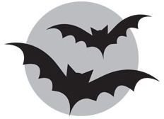 eHow - Bats