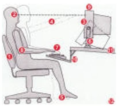 Workplace Ergonomics & How It Can Increase the Productivity of Your Team