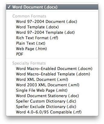 Choose a format to save as in Microsoft Word for iMac
