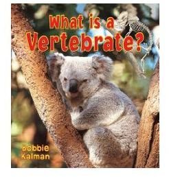 Teaching Vertebrates in the Elementary Grades